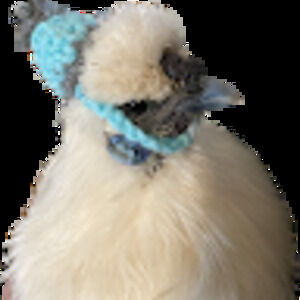 Meet your Posher, Shelbie